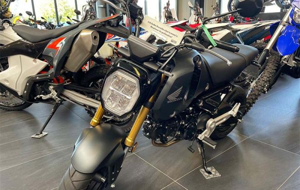Fahrschule Team Neumann in 29633 Munster - Honda MSX 125 Grom